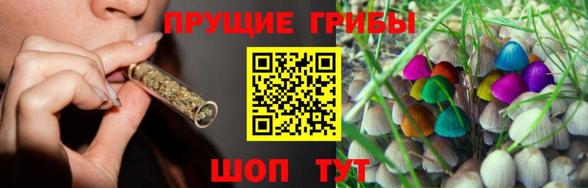 Псилоцибиновые грибы прущие грибы  Галлюциногенные грибы Psilocybe  Вход с VPN  Спасск-Дальний 